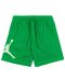 Мъжки къси панталони Nike - Jordan Essentials, зелени - 1t