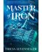 Master of Iron (Bladesmith 2) - 1t