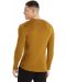 Мъжка блуза Icebreaker - Merino 260 Tech LS Crewe Thermal Top , кафява - 3t