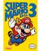 Макси плакат Pyramid - Super Mario Bros. 3 (NES Cover) - 1t