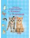 Малка енциклопедия за котки и котенца (твърди корици) - 1t
