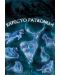 Макси плакат Pyramid - Harry Potter (Patronus) - 1t