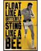 Макси плакат Pyramid - Muhammad Ali (Float Like a Butterfly) - 1t