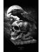 Макси плакат Pyramid - Alchemy (Poe's Raven) - 1t