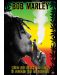Макси плакат Pyramid - Bob Marley (Herb) - 1t