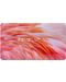 Makeup Revolution Forever Flawless Палитра сенки Flamingo, 18 цвята - 3t
