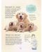 Малка енциклопедия за кучета и кученца (твърди корици) - 3t