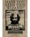 Макси плакат Pyramid - Harry Potter (Wanted Sirius Black) - 1t