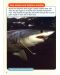 Macmillan Children's Readers: Sharks&Dolphins (ниво level 6) - 8t