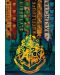 Макси плакат GB eye Movies: Harry Potter - House Flags - 1t