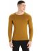 Мъжка блуза Icebreaker - Merino 260 Tech LS Crewe Thermal Top , кафява - 2t