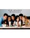 Макси плакат GB eye Television: Friends - Milkshake - 1t