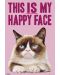 Макси плакат GB Eye Grumpy Cat - Happy Face - 1t