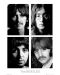 Макси плакат GB eye Music: The Beatles - White Album - 1t