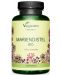 Mariendistel Bio, 120 капсули, Vegavero - 1t