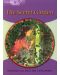 Macmillan English Explorers: Secret Garden (ниво Explorer's 5) - 1t