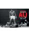 Макси плакат Pyramid - Muhammad Ali Commemorative (Ali v Liston) - 1t