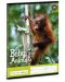 Ученическа тетрадка Ars Una - Animals Orangutan, A5, с 2 полета, 32 листа - 1t