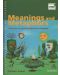Meanings and Metaphors Book (Cambridge Copy Collection) - 1t
