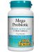 Mega Probiotic, 75 g, Natural Factors - 1t