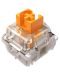 Механични суичове Razer - Orange Tactile Switch, 36 броя - 1t