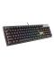Механична клавиатура Genesis - Thor 300, Outemu Red, RGB, черна - 2t