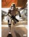 Метален постер Displate - Star Wars: Trooper - 1t