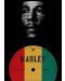 Метален постер Displate Music: Marley - Bob - 1t