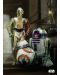 Метален постер Displate - Star Wars: Droids - 1t