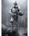 Метален постер Displate - Star Wars: Stormtrooper - 1t