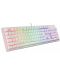 Механична клавиатура Genesis - Thor 303, Outemu Brown, RGB, бяла - 6t
