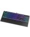 Механична клавиатура Endorfy - Omnis Pudding, Brown, RGB, черна - 2t