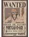 Мини плакат GB eye Animation: One Piece - Ace Wanted Poster - 1t