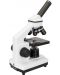 Микроскоп Levenhuk - Rainbow 2L PLUS, 64–640x, Moonstone - 3t