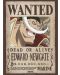 Мини плакат GB eye Animation: One Piece - Whitebeard Wanted Poster - 1t