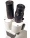 Микроскоп Levenhuk - 2ST, бинокулярен, бял - 4t