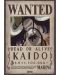 Мини плакат GB eye Animation: One Piece - Kaido Wanted Poster - 1t