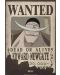 Мини плакат GB eye Animation: One Piece - Wanted Whitebeard - 1t