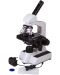 Микроскоп Bresser - Erudit DLX, 40–600x, бял - 2t