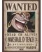 Мини плакат GB eye Animation: One Piece - Blackbeard Wanted Poster - 1t
