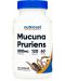 Mucuna Pruriens, 120 капсули, Nutricost - 1t