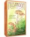 Mushroom Spotter's Deck (78-Card Deck and Guidebook) - 1t