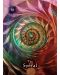 Mystical Shaman Pocket Oracle Cards (A 64-Card Deck and Guidebook) - 6t