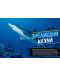 National Geographic Kids: Невероятна книга за акулите - 2t