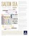 Настолна игра Salton Sea - Стратегическа - 3t