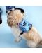 Нагръдник за кучета Loungefly Disney: Lilo & Stitch - Stitch (С раничка) - 8t