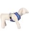Нагръдник за кучета Cerda Disney: Lilo & Stitch - Stitch, размер S/M - 9t
