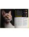 National Geographic: Тайният живот на котките (Колекционерско издание) - 3t
