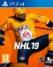 NHL 19 (PS4) - 1t