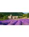 Панорамен пъзел Castorland от 600 части - Абатството Нотр Дам в Сенанк, Франция - 2t